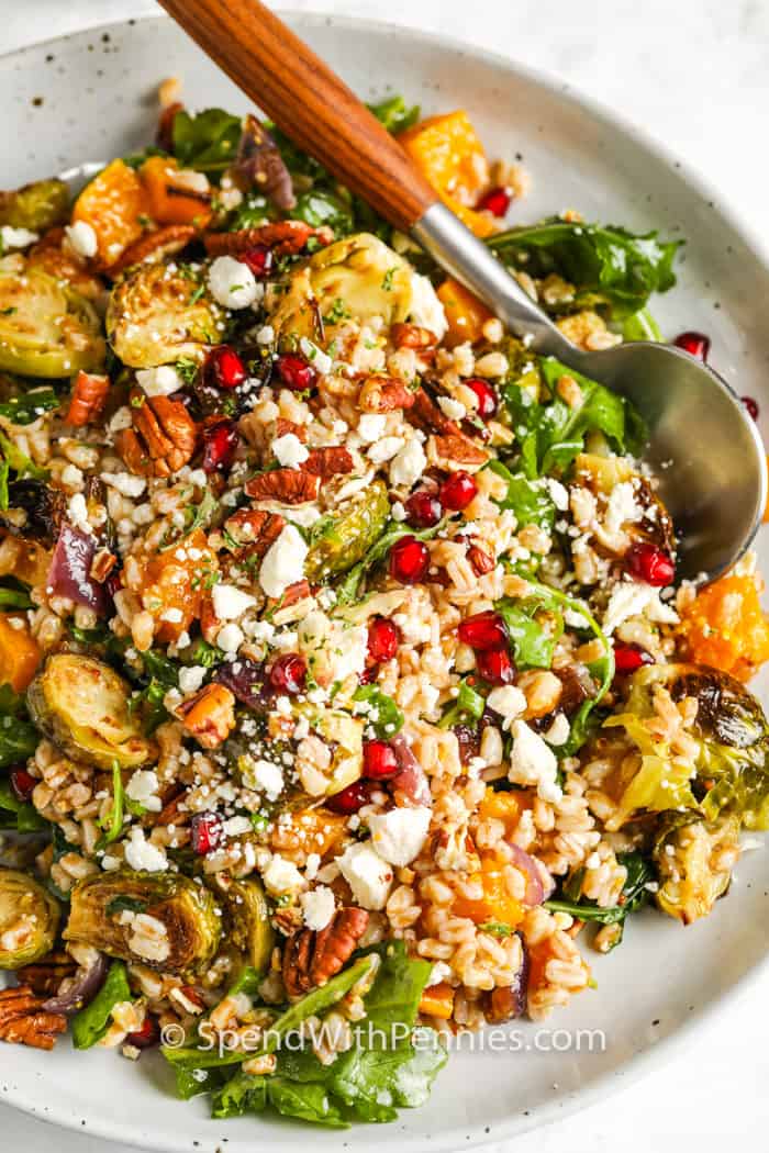 Harvest Farro Salad with a spoon