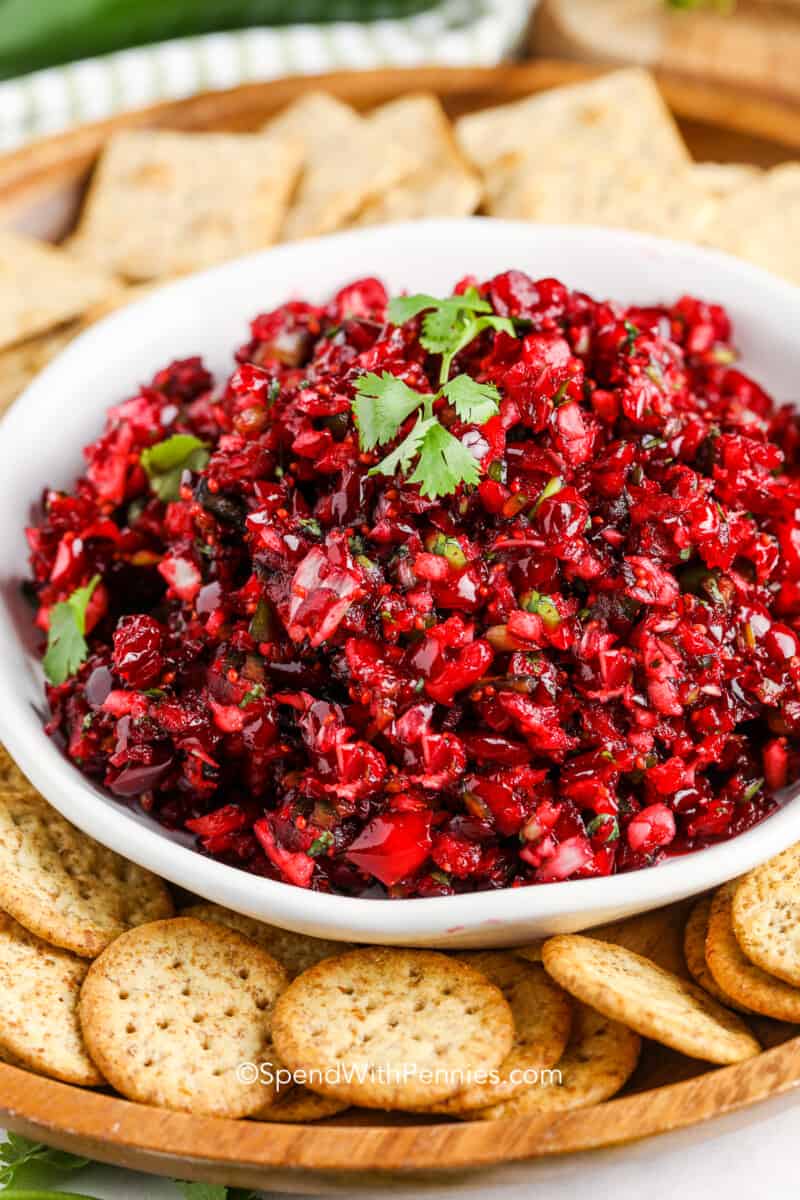 cranberry salsa garnished with cilantro in a white bowl surrounded by crackers