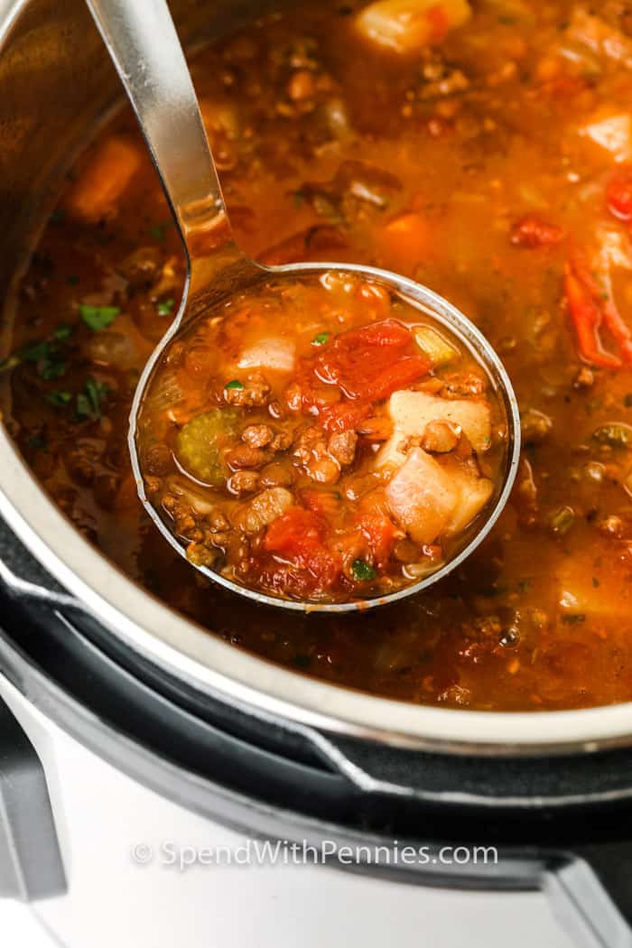 laddle of Instant Pot Lentil Soup