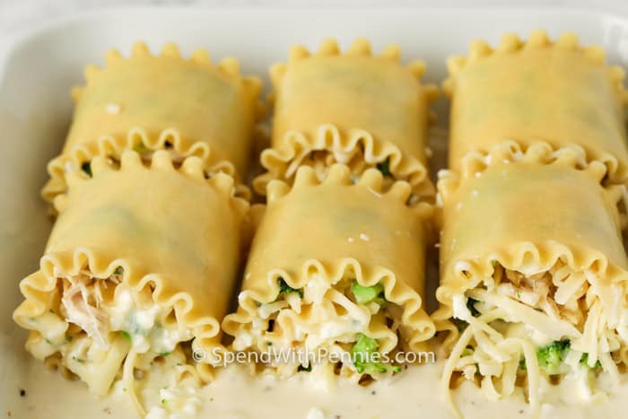 Chicken Lasagna Roll Ups after rolling process