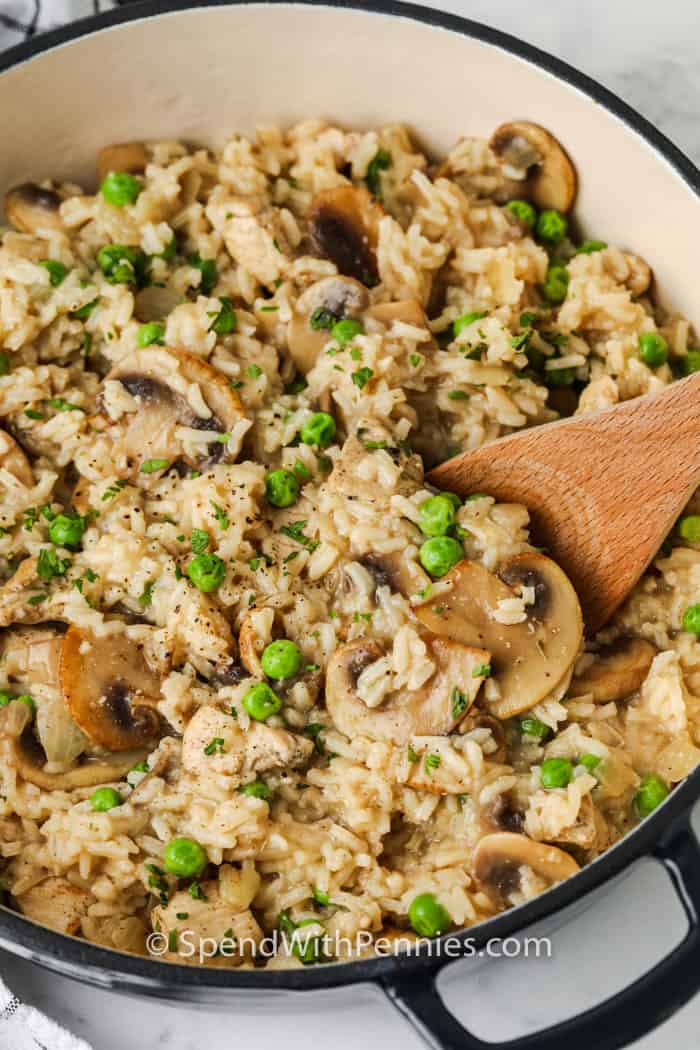 mixing Chicken and Rice in a pot