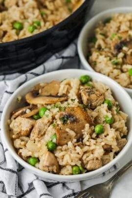 Chicken and Rice in bowls