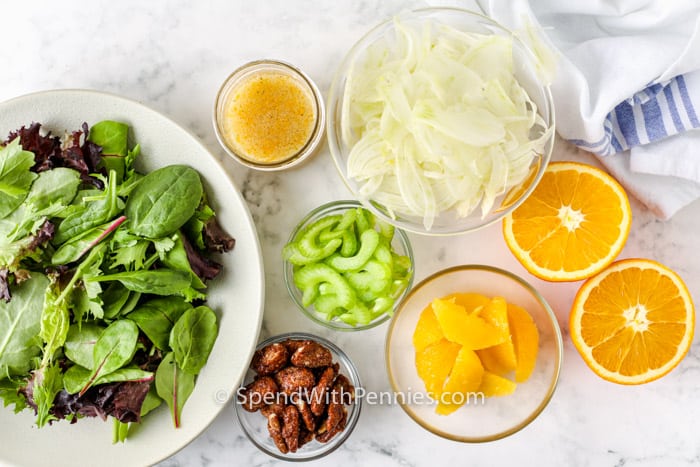 ingredients to make a Fennel Salad