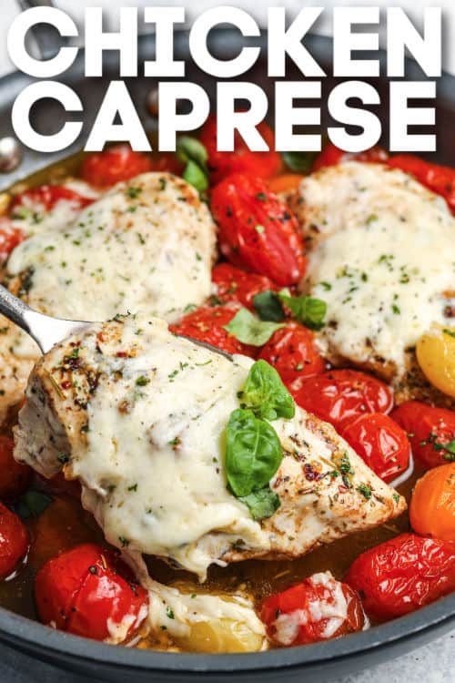 There’s everything to love in this flavorful recipe for juicy chicken Caprese. It’s savory, smokey, and cheesy, with just the right balance of flavors, yet still manages to be not too rich! Thin chicken cutlets are cooked in bacon drippings with butter, wine, Italian herbs, and tomatoes, then topped with mozzarella and crumbled bacon. This is a dream dish for keto lovers! #chickencaprese #spendwithpennies #chickencapreserecipe #capresechickenrecipe Easy Caprese Chicken cooking in the pan with writing