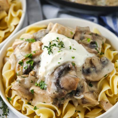 bowl of Herbed Turkey Stroganoff