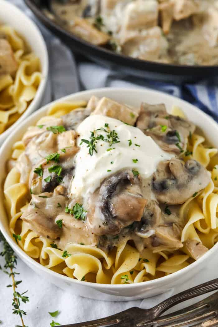 bowl of Herbed Turkey Stroganoff
