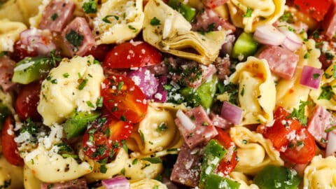close up of Italian Tortellini Salad on a plate with a spoon and fork