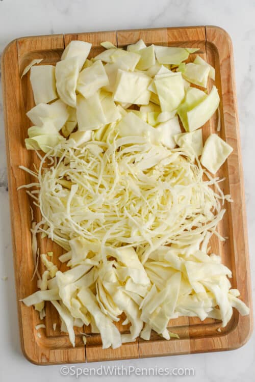 How to Cut Cabbage Spend With Pennies