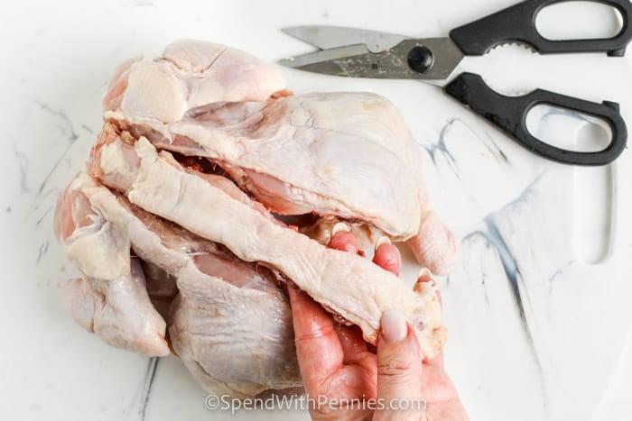 How to Spatchcock a Chicken - 53