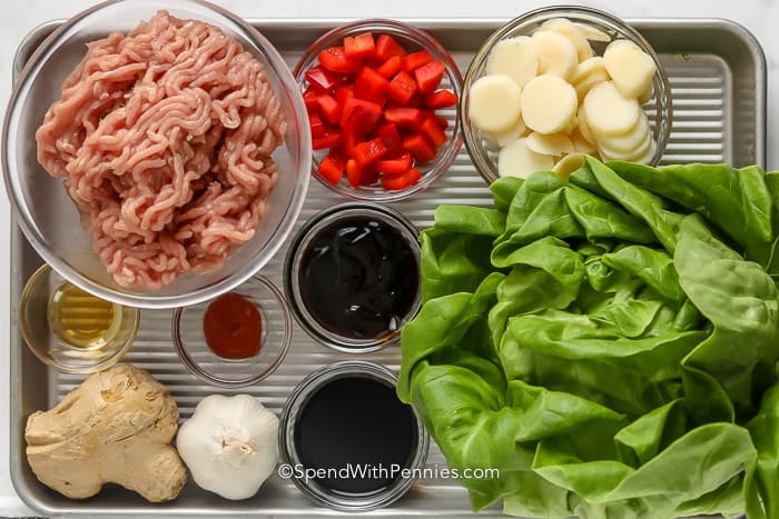 Ingredients assembled to make Turkey Lettuce Wraps