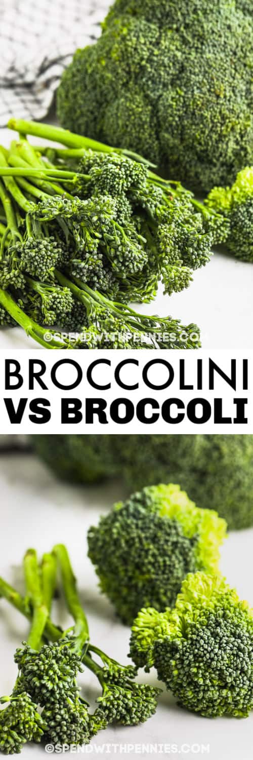 Broccoli vs  Brocollini - 13