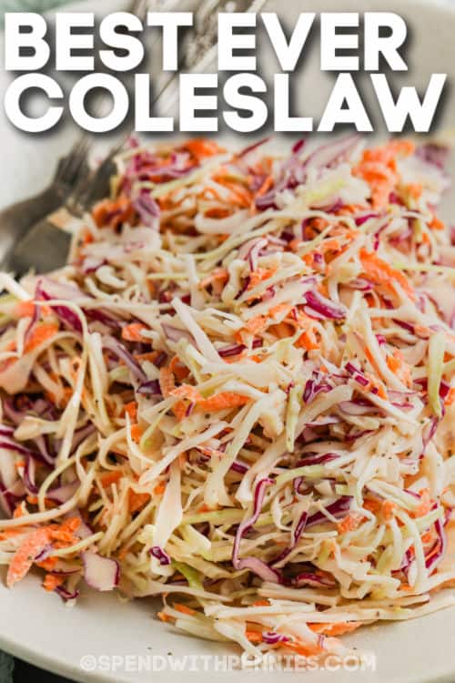 plated The Best Coleslaw Recipe with a title