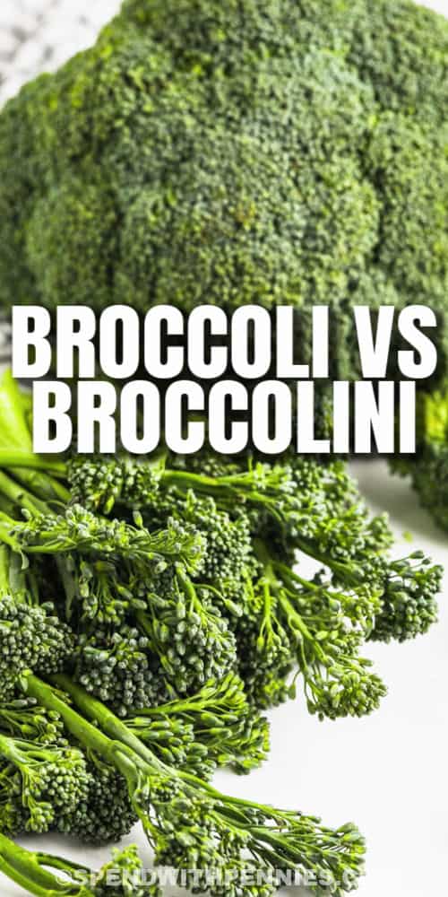 Broccoli vs  Brocollini - 63