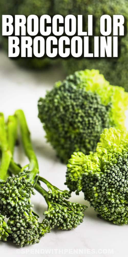 Broccoli vs  Brocollini - 80