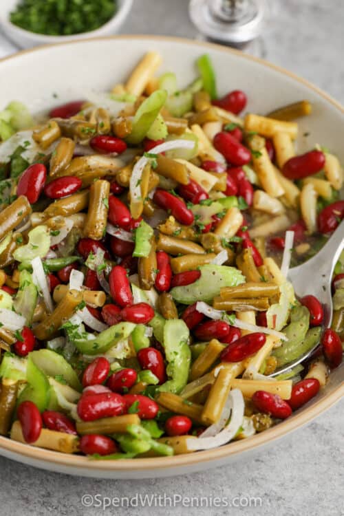 Old Fashioned Three Bean Salad Spend With Pennies