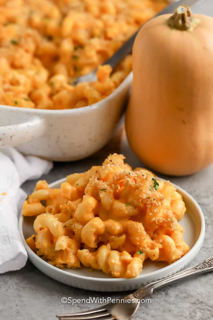 plated Butternut Squash Mac and Cheese