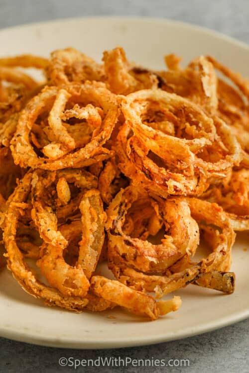 Crispy Fried Onions Spend With Pennies Honey and Bumble Boutique