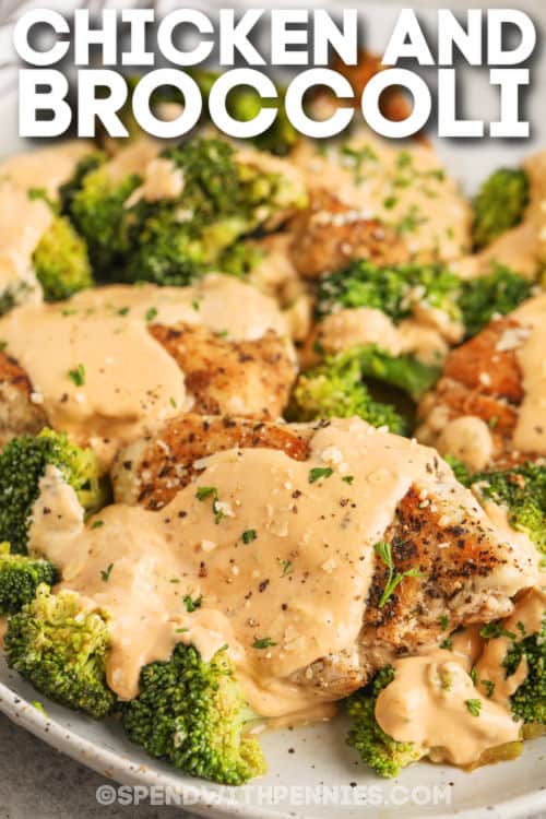 cooked Chicken and Broccoli on a plate with writing