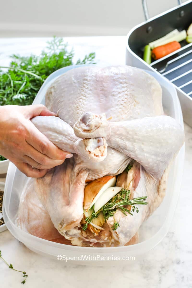 Easy Roast Turkey Recipe (Step by Step) - Spend With Pennies