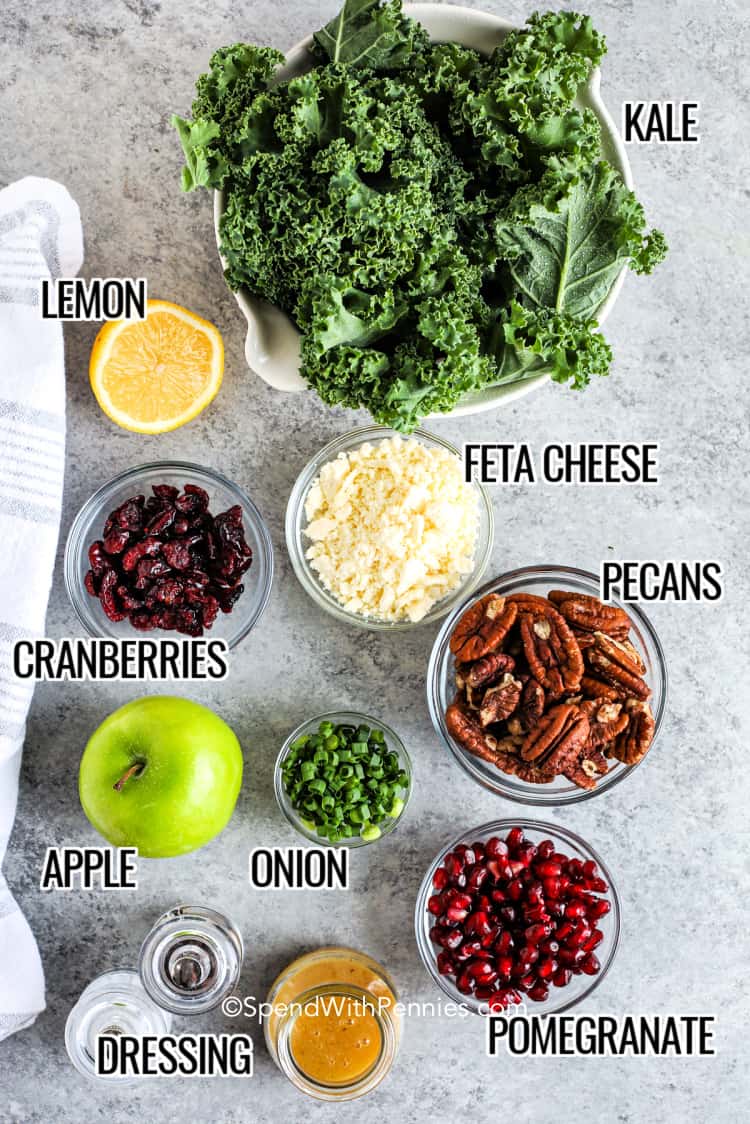 Make this beautiful and colorful pomegranate salad any time of the year. This crunchy and fresh salad is so flavorful, with apples, pecans, pomegranate arils, and feta cheese. Kale is such a healthy vegetable, and with all the add-ins it's complemented perfectly. Don't be surprised if this delish salad becomes a new fave! #pomegranatesalad #homemade #pomegranatesaladdressing #spendwithpennies ingredients for a christmas salad