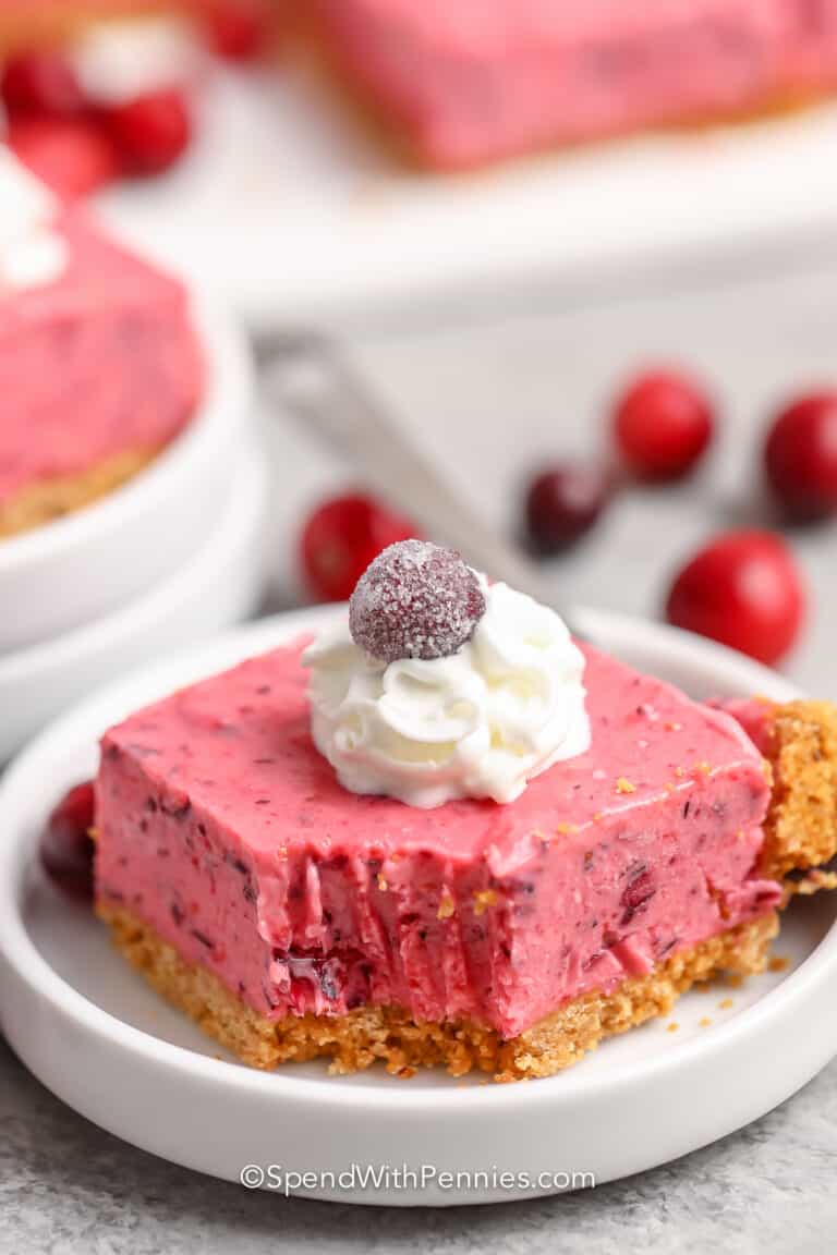 Frozen Cranberry Bars Spend With Pennies