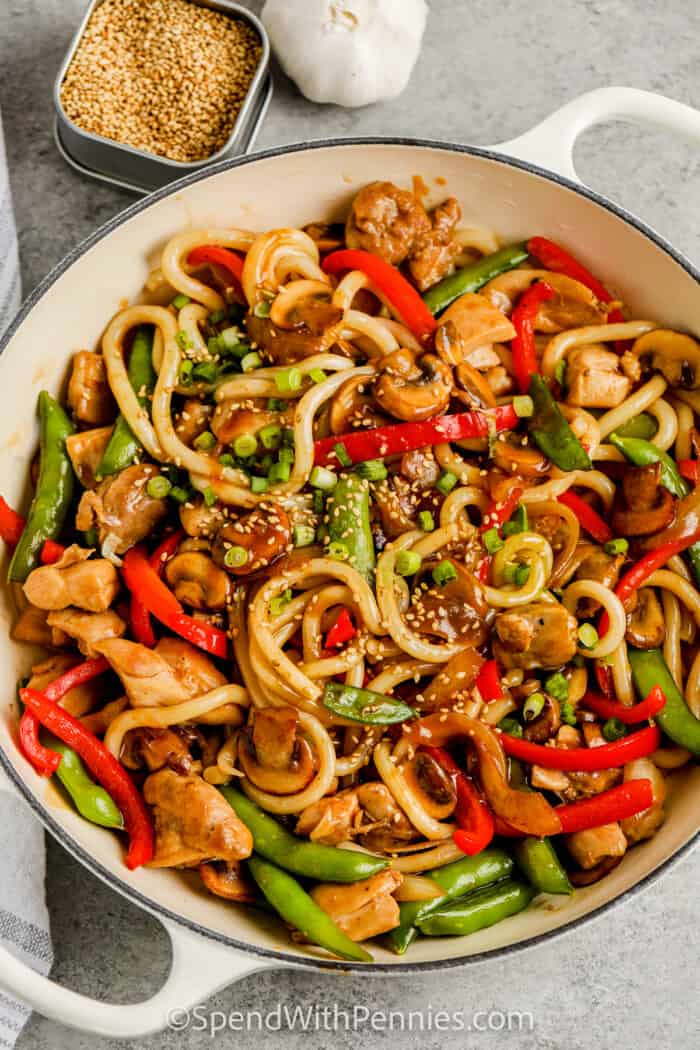 Chicken Udon Stir Fry - Spend With Pennies