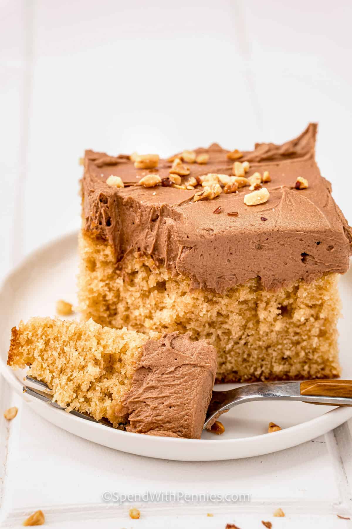 Nutella and Peanut Butter Cake - Parsley and Icing