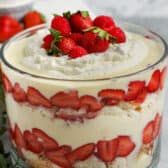 close up of a Trifle