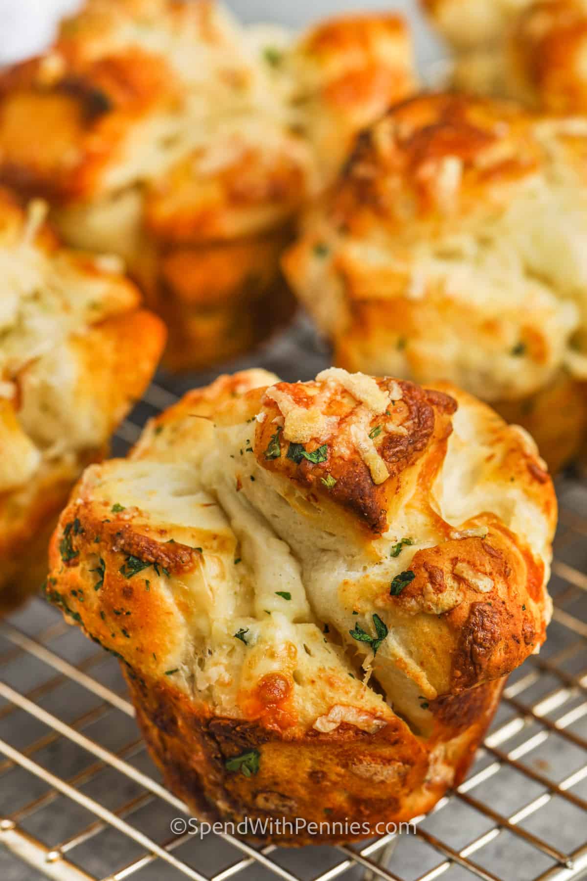 These garlic parmesan biscuits are so quick and easy to make. Fluffy, flaky, and flavorful, these cheese biscuits are sure to disappear quickly. Add some egg and sausage and turn them into a hearty breakfast that is comparable to anything Mcdonald's makes. Or add some cream cheese and ham and have a filling lunch sandwich. #garlicparmesanbiscuits #cheesebiscuits #cheesebisucuitrecipe #spendwithpennies Garlic Parmesan biscuit on a cooling rack
