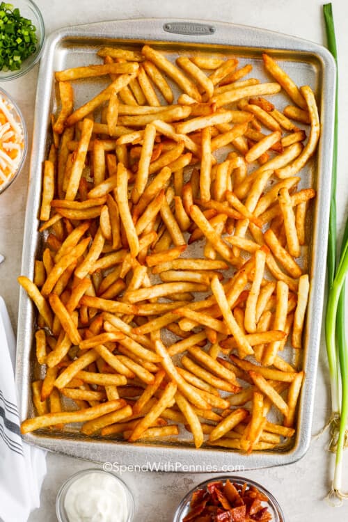 Loaded Cheese Fries Spend With Pennies