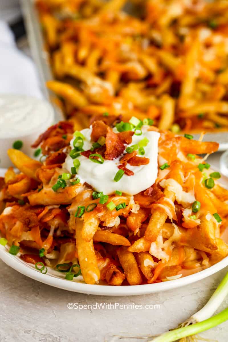 loaded cheese fries on a plate topped with sour cream and bacon