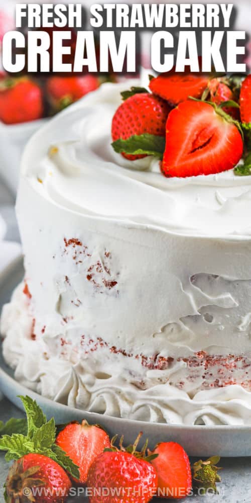It will be hard to resist just one piece of this moist and sweet strawberry cream cake. Cooking like a professional baker is easy with this homemade cake recipe. White cake mix and jello are combined for the fluffy and moist cake. It is topped with a creamy frosting made from pudding and cream cheese. So sweet and so good! #strawberrycreamcake #strawberrycreamcakerecipe #strawberrycake #spendwithpennies Strawberry Cream Cake with strawberries on top and writing