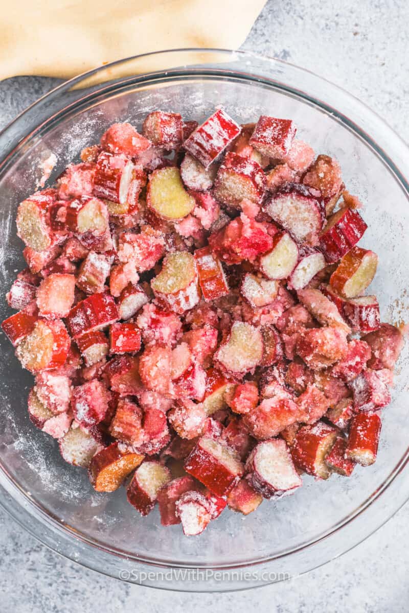 rhubarb-pie-spend-with-pennies