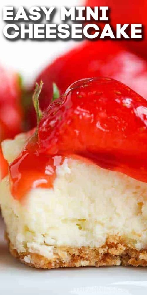 Gör det här söta minicheesecake-receptet till efterrätt ikväll och gör hela familjen glad. Det bästa förutom den krämiga sötman hos dessa cheesecakes är hur lätta de är att göra. Allt som behövs är några vaniljrån, färskost, mandelextrakt, ett ägg och lite strösocker. Den sista touchen skulle vara att ringla dessa mini cheesecakes med lite choklad, kola eller körsbärssås. #minicheesecakes #minicheesecake #minicheesecakerecept #spendwithpennies närbild av Mini Cheesecakes med en tugga som tas ut med en titel