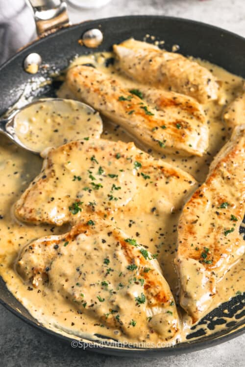 Turkey Cutlets with Dijon Sauce Spend With Pennies