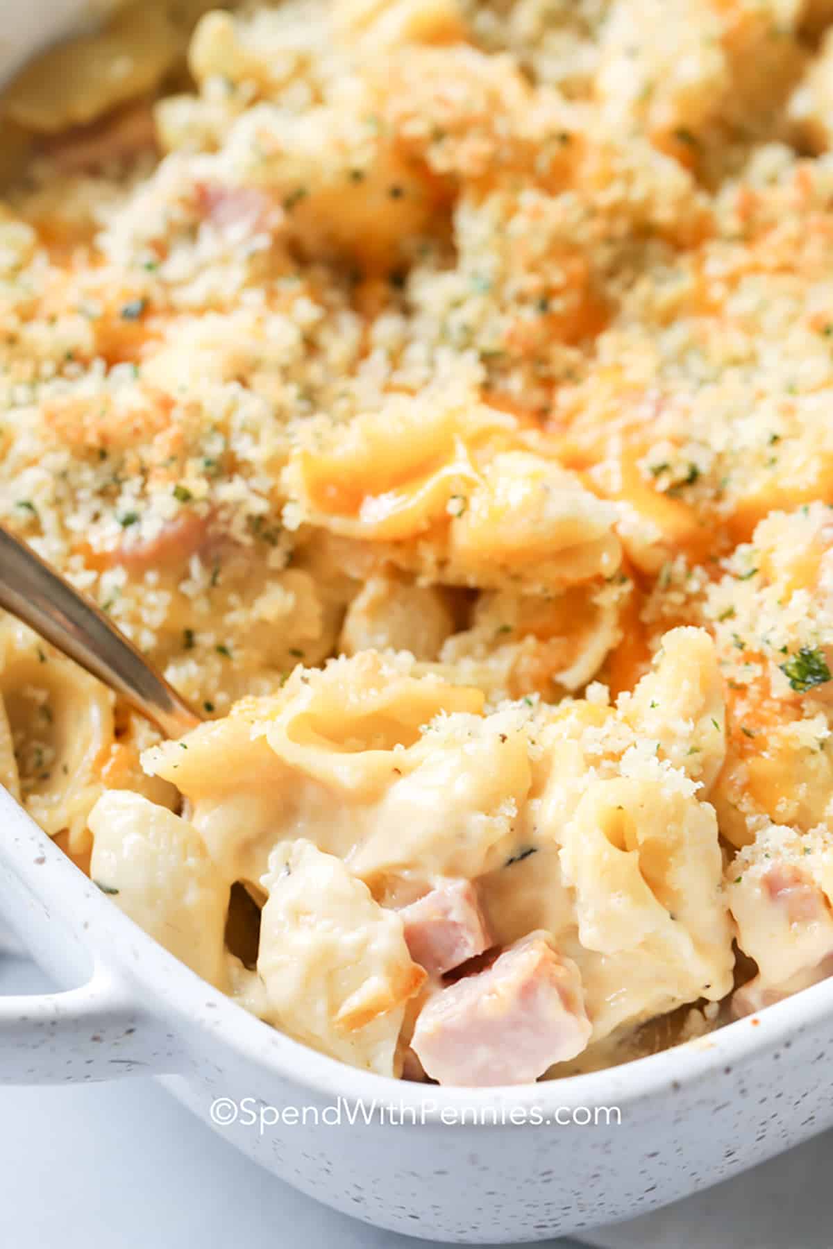 Ham Noodle Casserole is a budget friendly dish. Made with leftover ham, cheese, and pasta topped with a crunchy bread crumb topping. When looking to a feed a crowd, this recipe is sure to satisfy! #hamcasserole #casserole #pasta #spendwithpennies close up of Cheesy Ham Casserole
