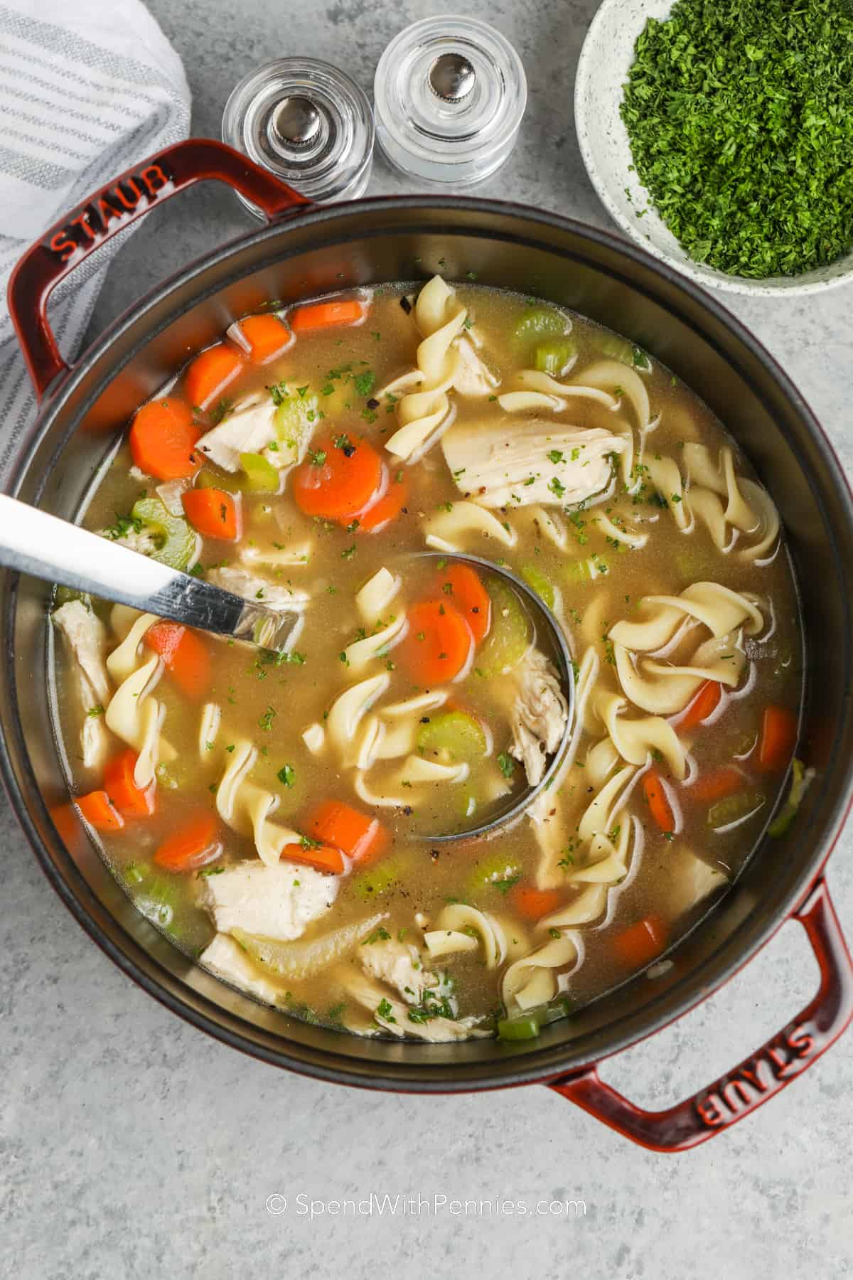 a ladle in a pot of turkey noodle soup