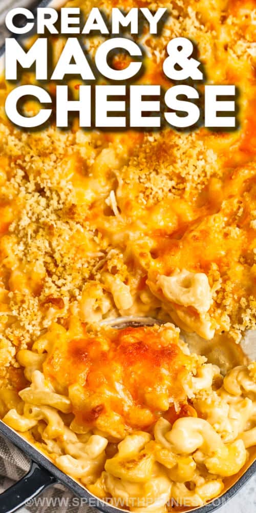 This creamy and delish baked mac and cheese recipe is sure to become a family favorite. A crispy butter crumb topping over cheesy macaroni makes the tastiest entree. Or top it with bacon crumbles for even more flavor! Enjoy it with a side salad or add some broccoli for a full meal deal. #bakedmacandcheeserecipe #easyhomemademacandcheese #creamymacandcheese #spendwithpennies top view of Baked Mac and Cheese in the dish with a title