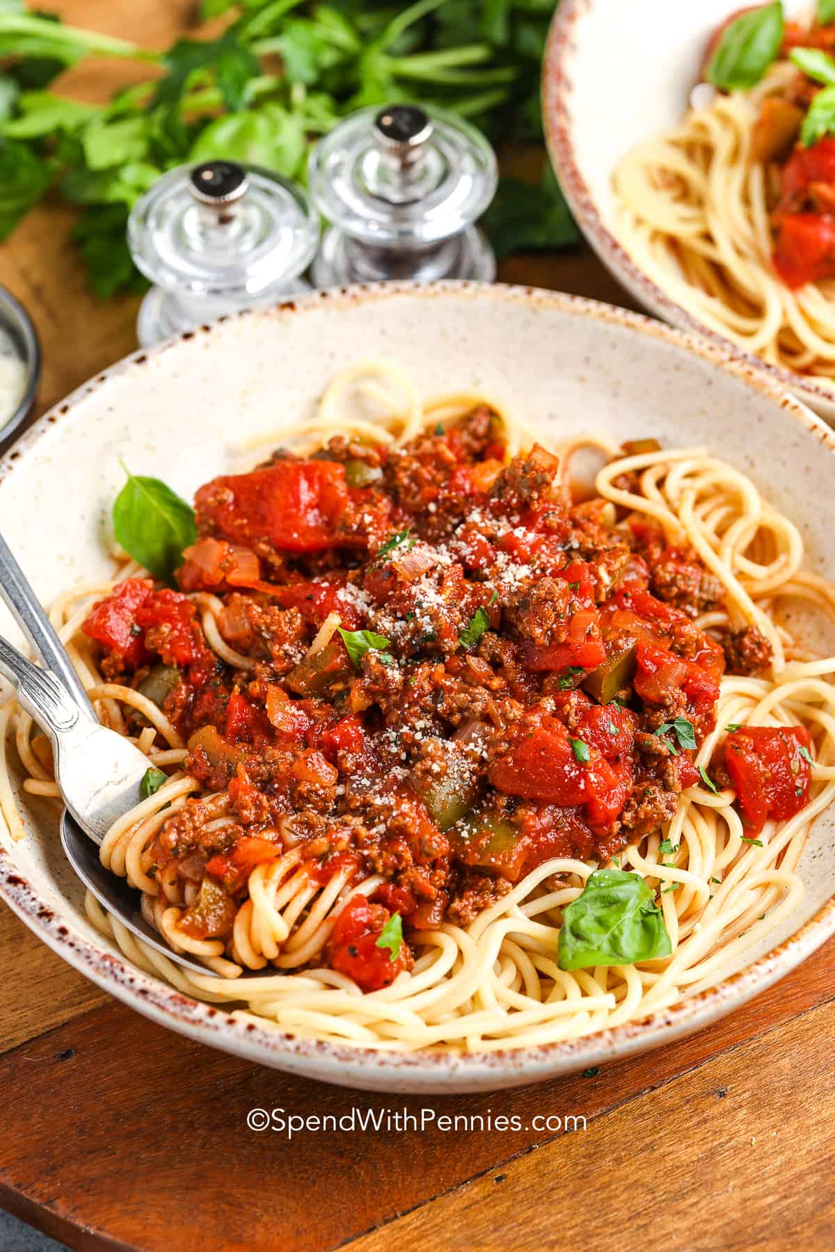 plated Homemade Pasta Sauce on spaghetti with parmesan