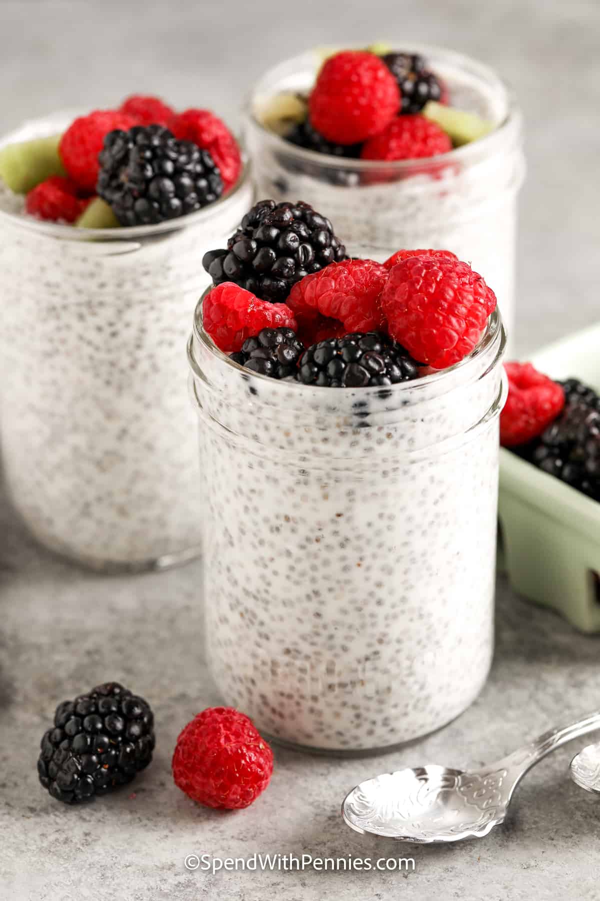Have a healthy start to the morning with this chia seed pudding recipe. Breakfast is the most important meal of the day. And what better way to begin the day, than with a meal that is easy to make in advance? Milk, yogurt, honey, chia seeds, and fruit are all that you need for this morning's recipe. Just mix, chill, and serve! #chiaseedpudding #chiaseedpuddingrecipe #chiapudding #spendwithpennies chia seed pudding topped with fruit