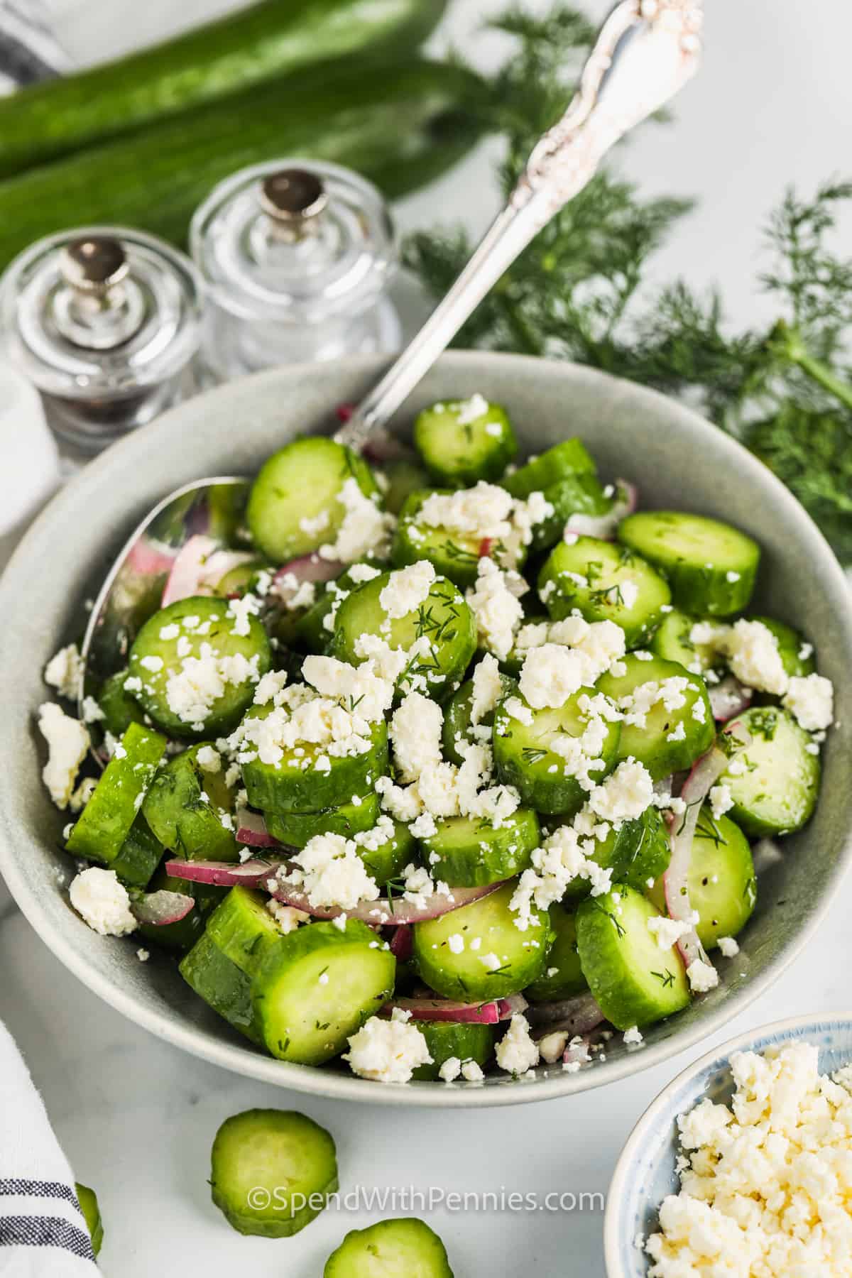 Zesty cucumber feta salad is full of fresh flavors and crunch. Fresh cucumber slices are combined with red onions, feta cheese, and savory herbs and tossed in a tangy lemon vinaigrette. Vary the ingredients by adding other vegetables like radishes, cherry tomatoes, or avocado. Kalamata olives and mint will give it a Greek flair. #cucumberfetasalad #cucumberfetasaladrecipes #cucumbersaladvinegar #spendwithpennies plated Cucumber Feta Salad