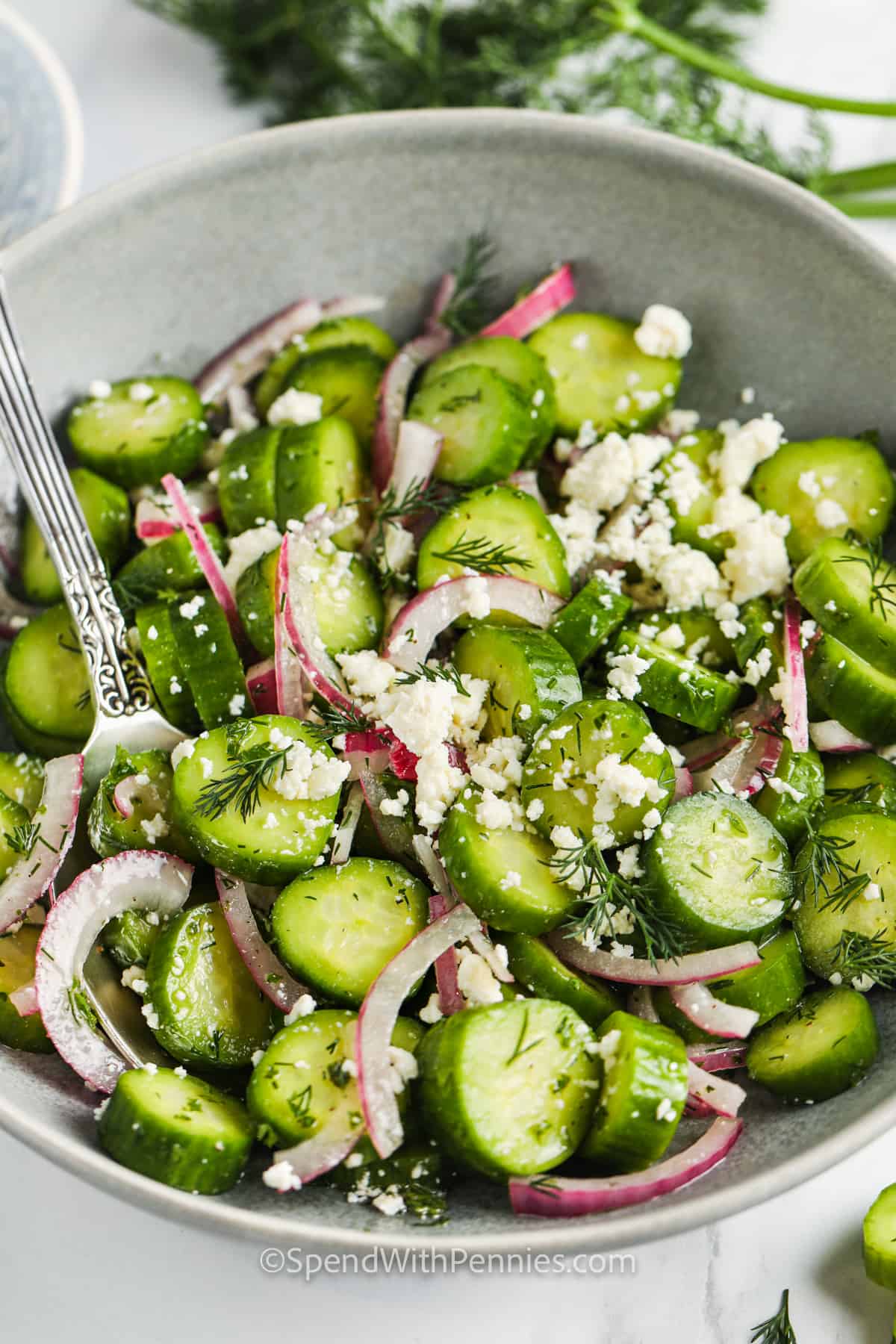 Healthy and refreshing cucumber feta salad is a tasty change of pace from a salad made with greens. A tangy lemon vinaigrette dressing melds together cucumber slices, feta crumbles, and red onion, enhanced with fresh herbs. Serve as a light lunch with crostini or garlic toast. Embellish it with any of your favorite add-ins, such as tomatoes, olives, or watermelon chunks. #cucumberfetasalad #cucumberfetasaladrecipes #cucumbersaladvinegar #spendwithpennies close up of Cucumber Feta Salad
