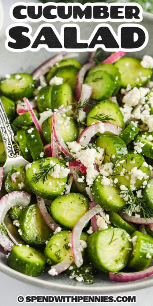 Healthy and refreshing cucumber feta salad is a tasty change of pace from a salad made with greens. A tangy lemon vinaigrette dressing melds together cucumber slices, feta crumbles, and red onion, enhanced with fresh herbs. Serve as a light lunch with crostini or garlic toast. Embellish it with any of your favorite add-ins, such as tomatoes, olives, or watermelon chunks. #cucumberfetasalad #cucumberfetasaladrecipes #cucumbersaladvinegar #spendwithpennies close up of Cucumber Feta Salad with a title