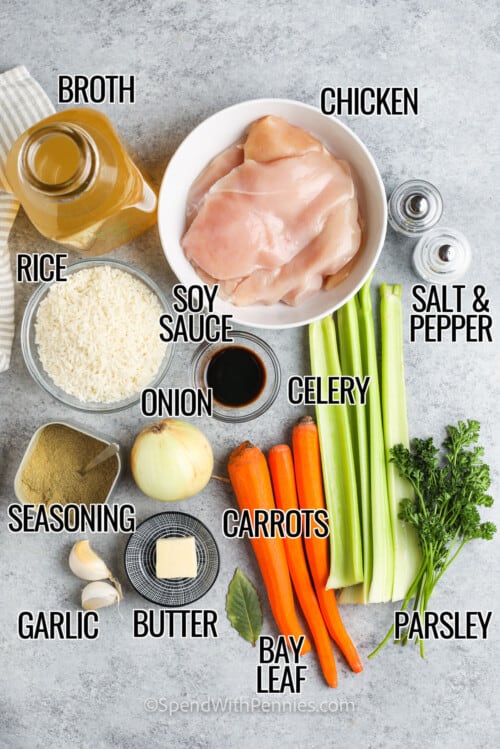 Crockpot Chicken Rice Soup - Spend With Pennies - PrimoReview