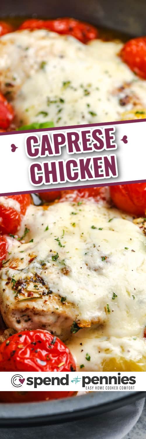 Try this juicy Chicken Caprese for a gourmet-level entree packed with an amazing blend of flavors. Chicken breasts are cooked on the stovetop in bacon drippings with butter, wine, Italian herbs, and tomatoes. Then, they are topped with mozzarella, parmesan, and bacon crumbles, and browned under the broiler. Serve with garlic bread, and garnish with avocado, pesto, or balsamic glaze! #chickencaprese #spendwithpennies #chickencapreserecipe #capresechickenrecipe caprese chicken with cheese in skillet with writing