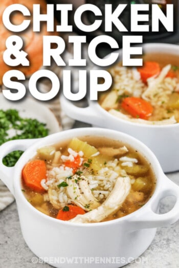 Crockpot Chicken Rice Soup - Spend With Pennies