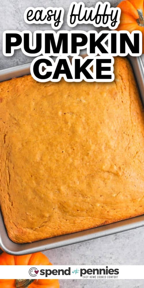 Much like banana bread, pumpkin cake can be made in advance and becomes even more flavorful as it rests. Ingredients for pumpkin cake are so easy to find. Use canned pumpkin puree in this recipe (make sure it isn't canned pumpkin pie filling). Or, make your own pumpkin puree but be sure to drain it very well. #pumpkincake #pumpkincakerecipe #easypumpkinspicecake #spendwithpennies Pumpkin Cake in the baking dish with a title