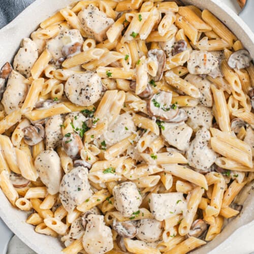 Mushroom chicken with pasta prepared in a frying pan