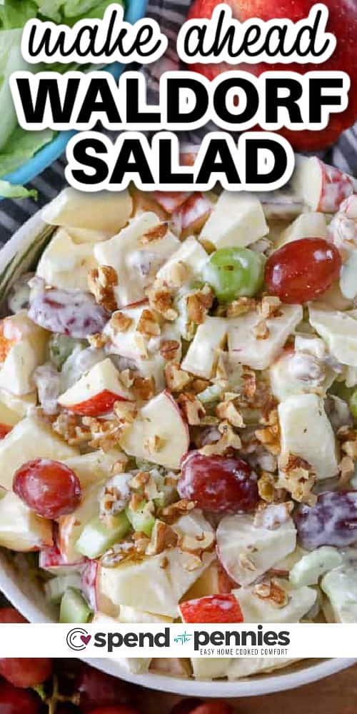 Waldorf salad is a tasty mix of fresh ingredients. Crisp apples, juicy grapes, crunchy celery, and nutty walnuts come together in a creamy dressing. It's a delicious and refreshing dish that's perfect for a light meal or a side at lunch! #waldorfsalad #recipe #sidedish #spendwithpennies Waldorf Salad with text