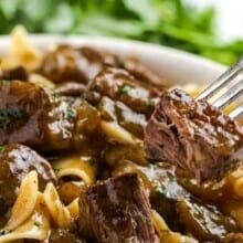 Beef and noodles being served in a bowl with a fork picking up one piece of the beef